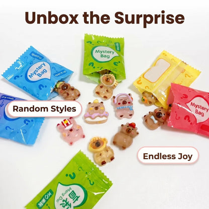 Capybara blind bag unboxing with random resin charm styles