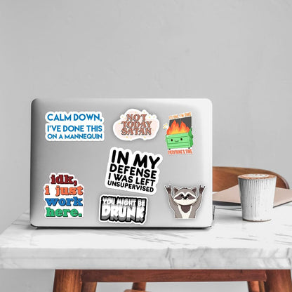 123PCS Stickers Pack, Bulk Sarcastic Vinyl Waterproof