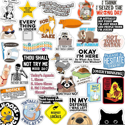 123PCS Stickers Pack, Bulk Sarcastic Vinyl Waterproof