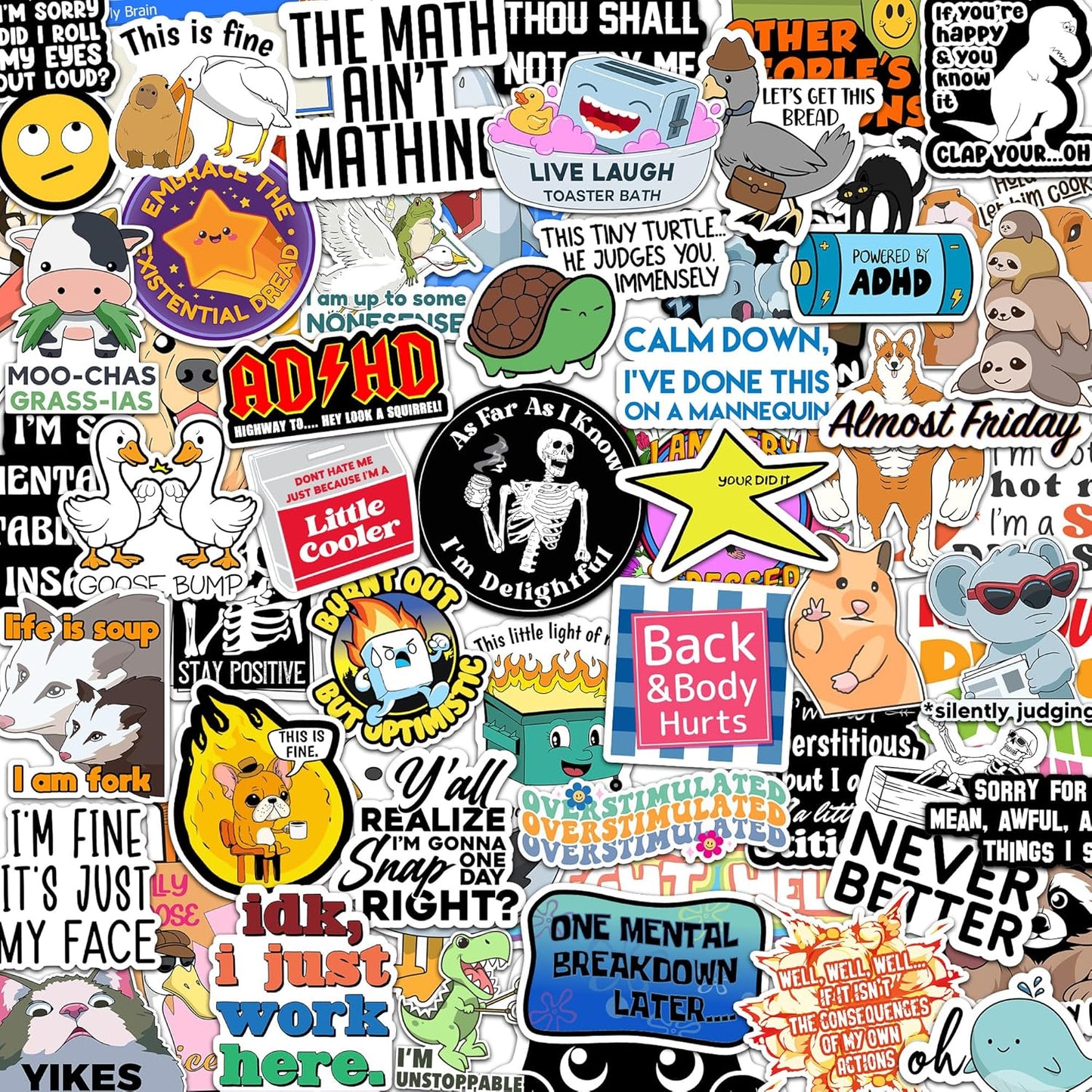 73 Pcs Funny Stickers for Adults Dirty Humor, Waterproof