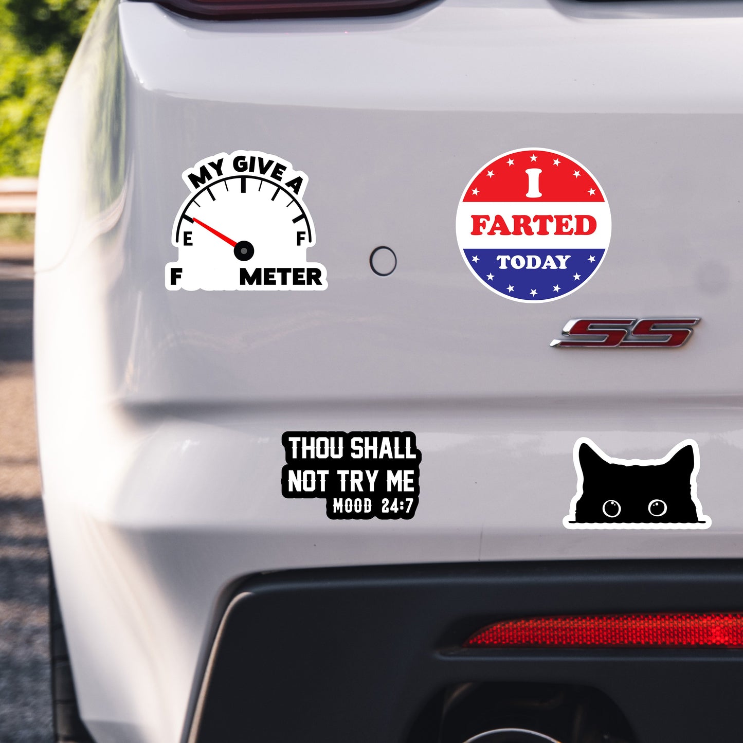 130 Pcs Funny Saying Stickers for Adults Quote Water Bottles Stickers Pack Waterproof Cool Accesory for Laptop, Bumper,…